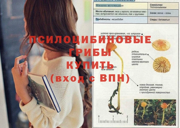 марки lsd Абдулино