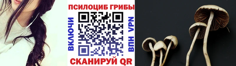 Псилоцибиновые грибы Magic Shrooms  закладки  Алагир 